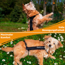 Kleck, nuolemisen estäjä