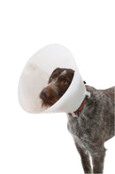 Buster Classic 35 - 40 cm, 1 kpl