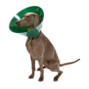 Buster Green Ocean kaulurit, 5 kpl