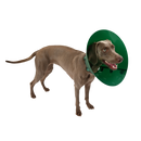 Buster Green Ocean kaulurit, 5 kpl