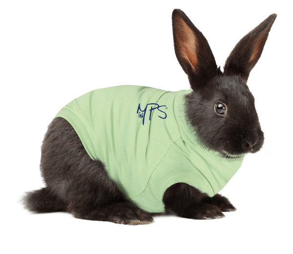 Suojapuku Medical Pet Shirt, vihreä, kaneille, XXXS - L