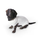 StretchNet putkiside