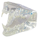 KRUUSE Feline Jaw Model