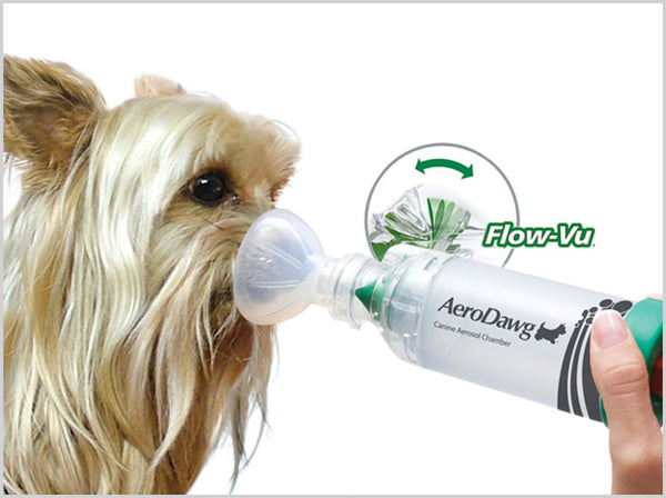 AeroDawg-inhalaatiolaite /+Flow-Vu, koirille (yli 9 kg)