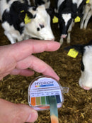 Hydrion  - Ammoniakkihaitallisten kaasujen testiliuskat